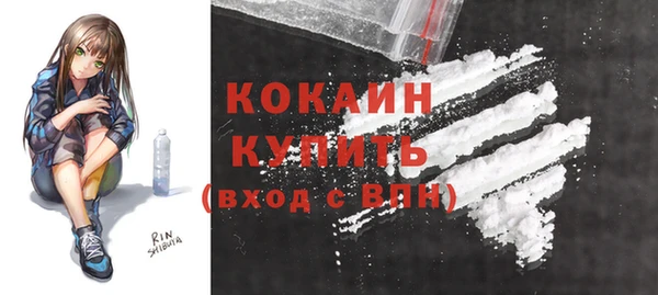 прущий лед Алзамай