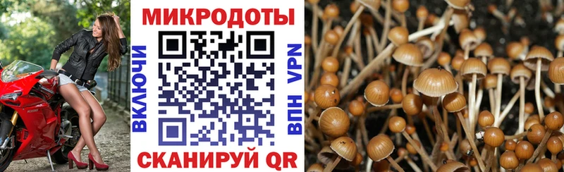 Псилоцибиновые грибы Cubensis  Собинка 